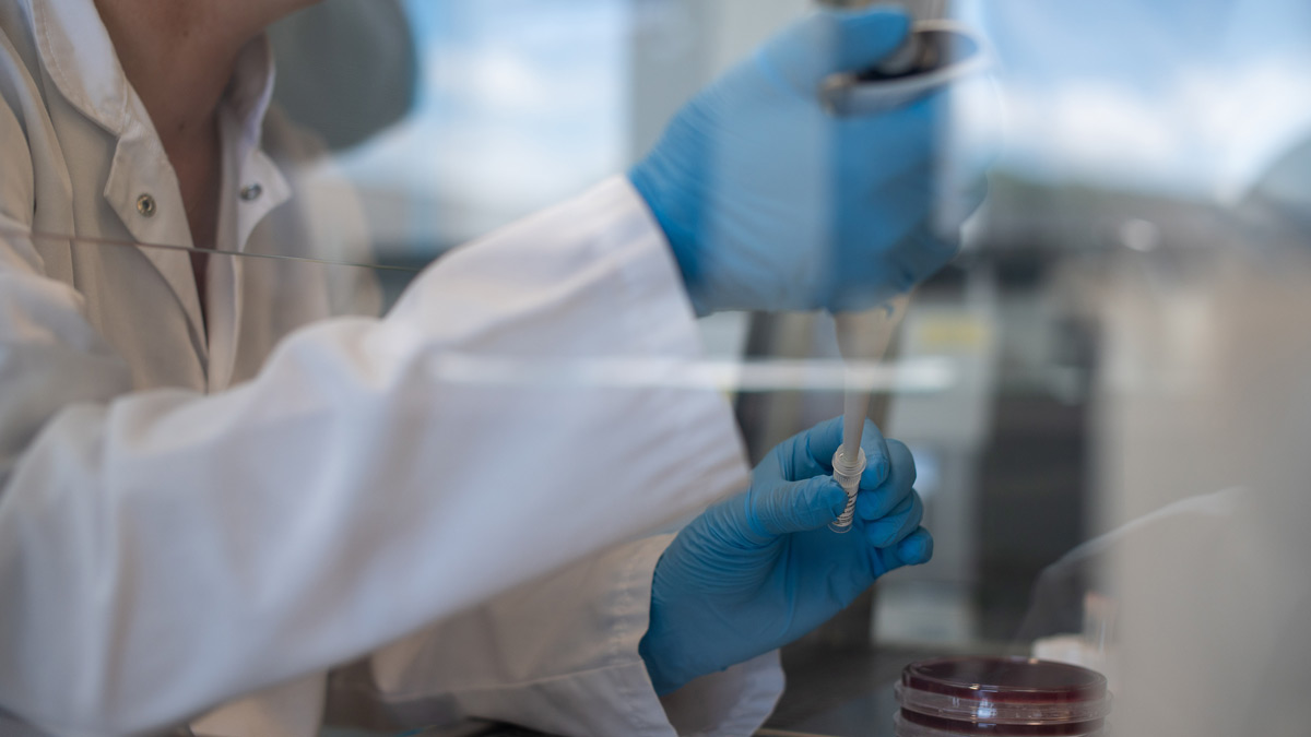 Photo d'un technicien de laboratoire portant une blouse blanche et des gants en train d'utiliser une pipette
