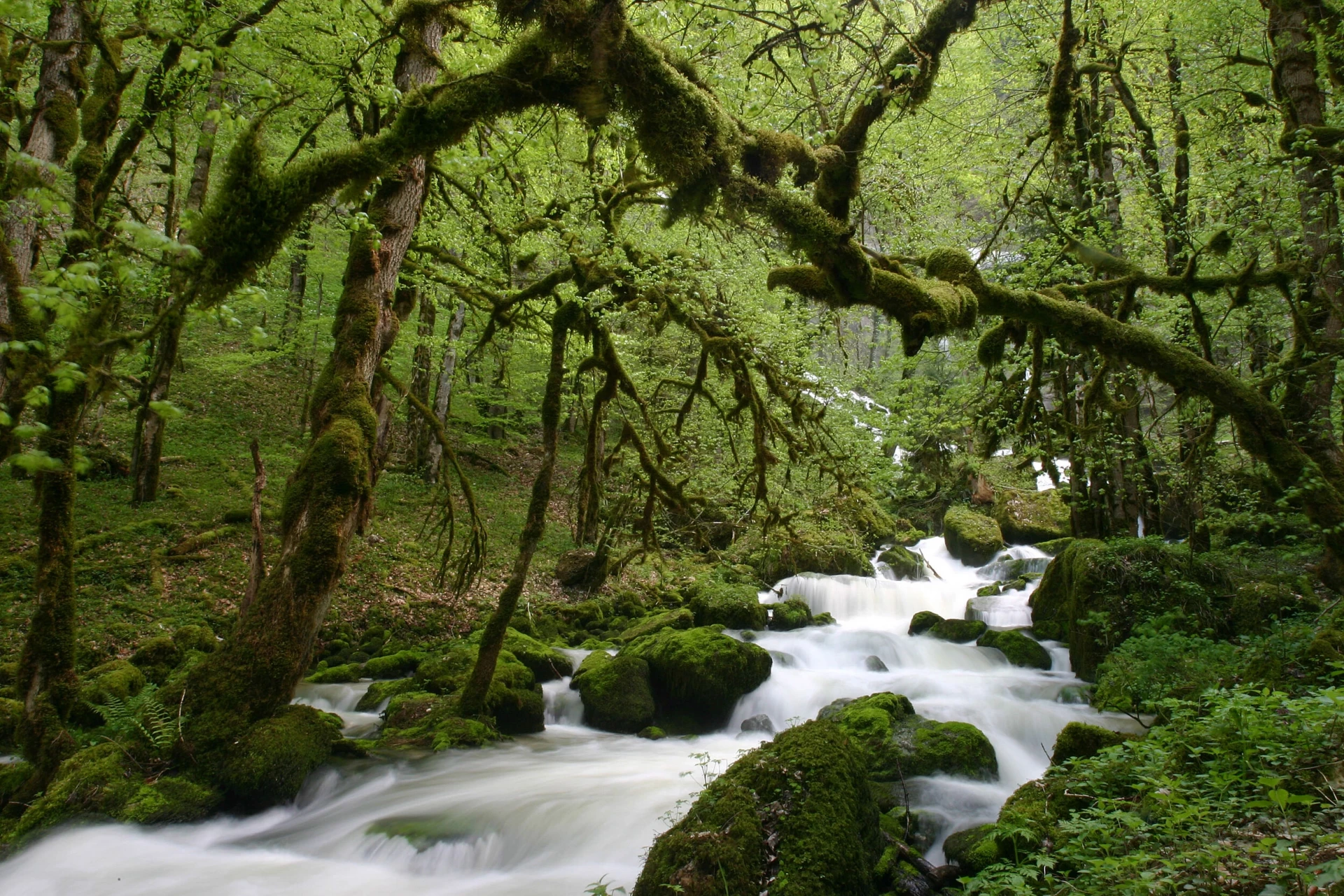 You are currently viewing Doubs&(re)Doubs : plus de 70 sites touristiques autour de chez vous