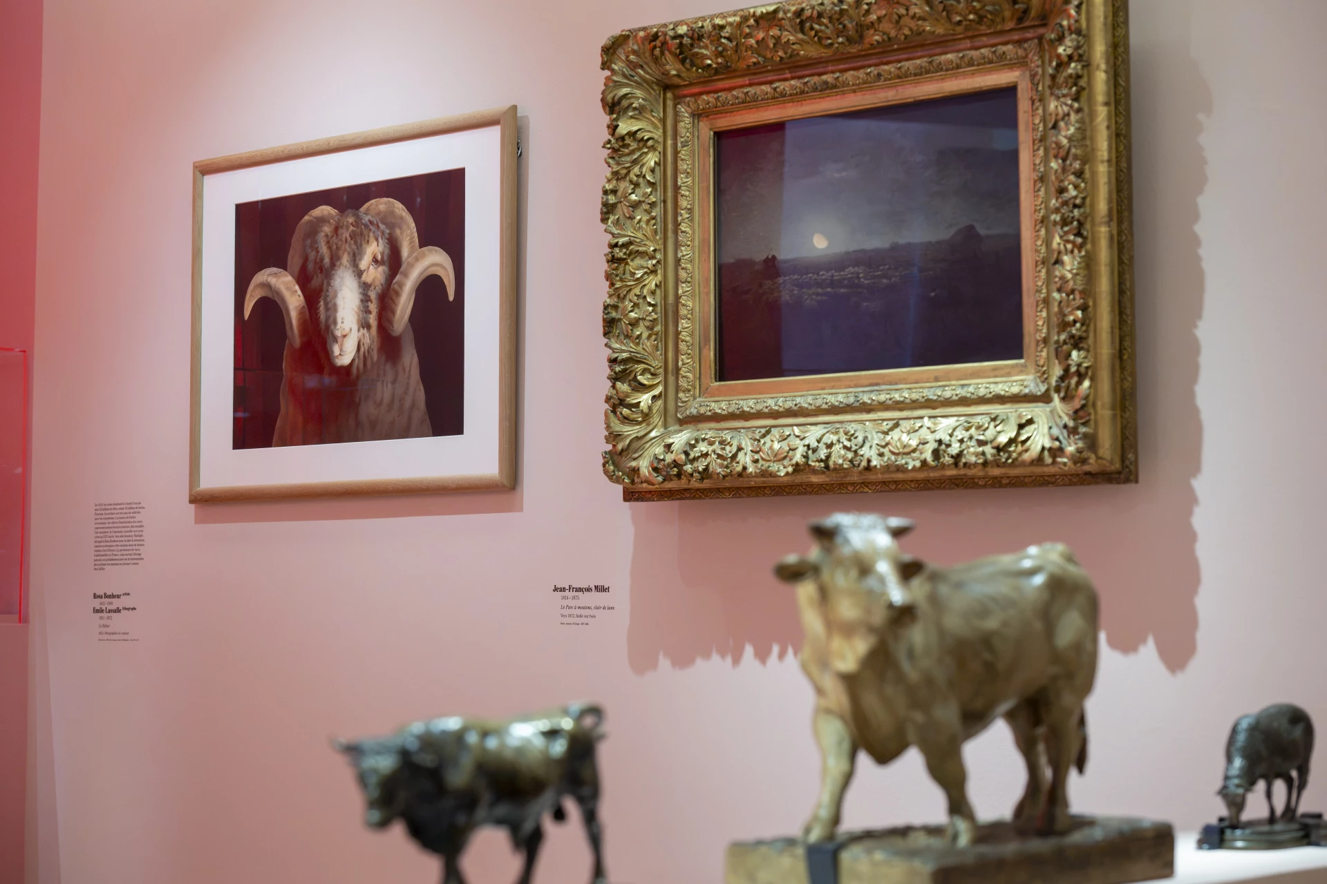 You are currently viewing Réalisme animal au Musée Courbet à Ornans