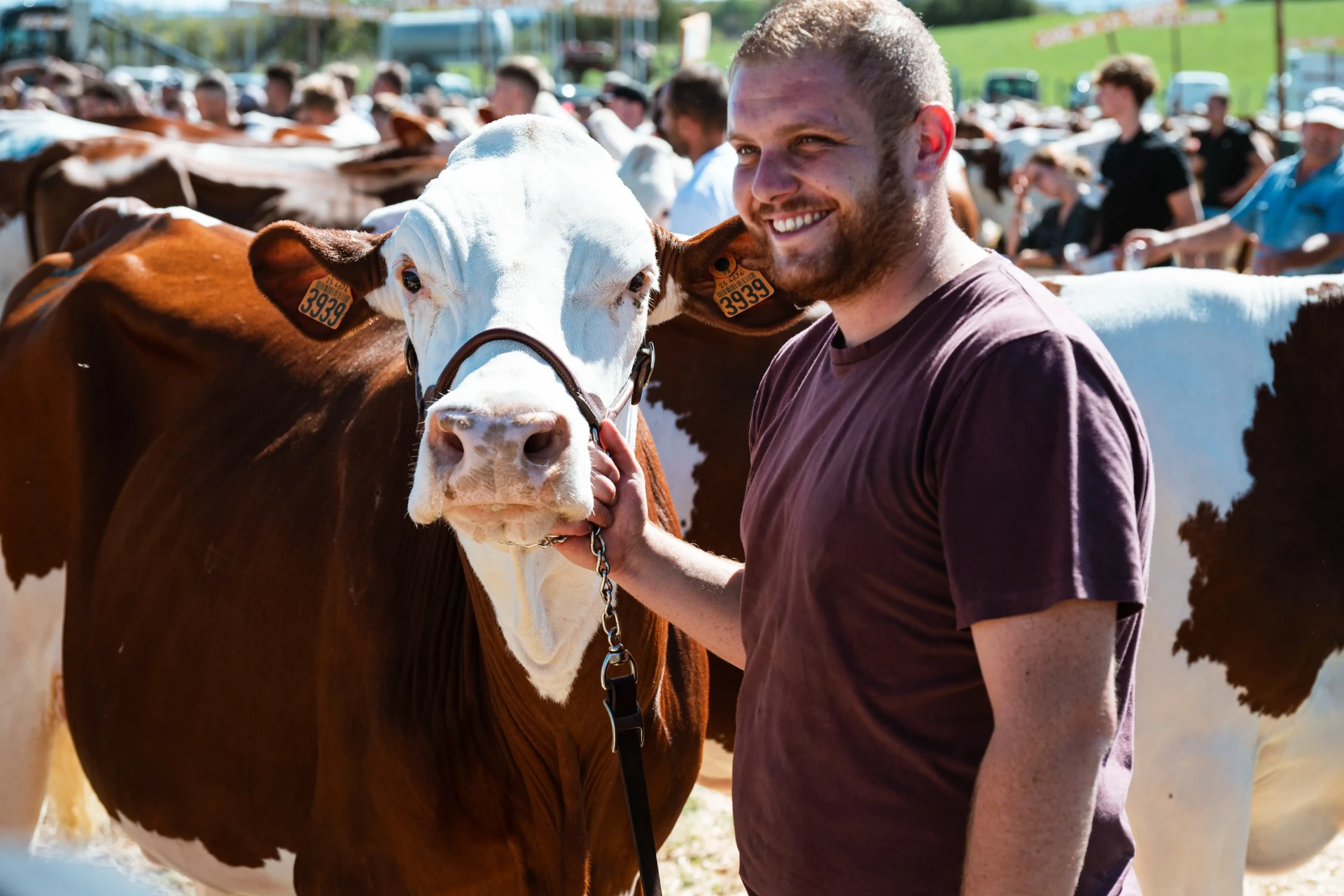 You are currently viewing La saison des comices et des évènements agricoles est lancée